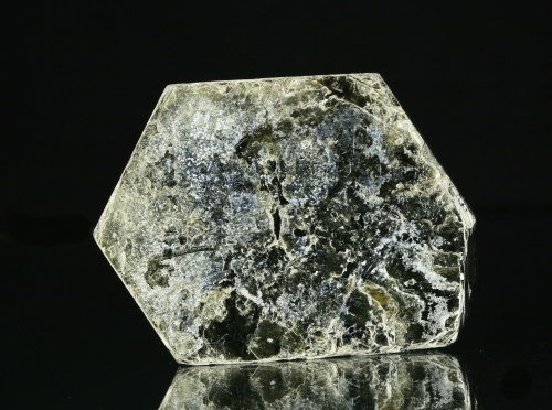 Biotite