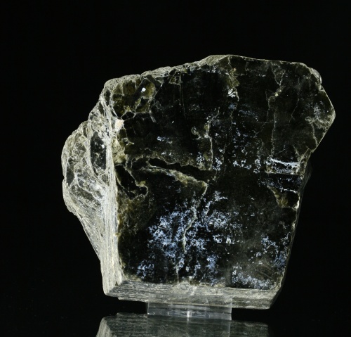 Biotite