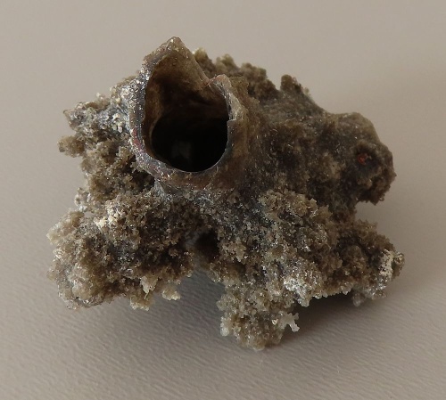 Fulgurit, (Bleskovec)