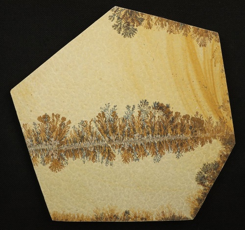 Dendritenplatte Freiform