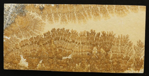 Dendritenplatte XXL