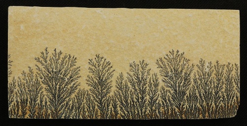 Dendritenplatte XXL