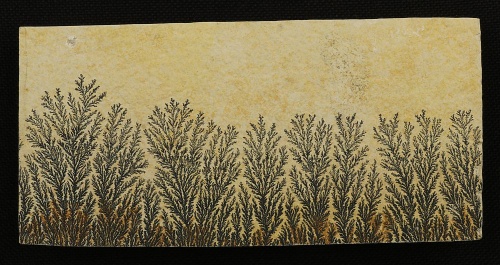 Dendritenplatte XXL