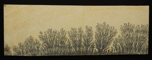 Dendritenplatte XXL