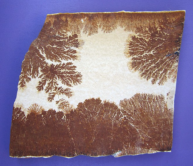 Dendrite slab (Manganese and Iron Dendrites)