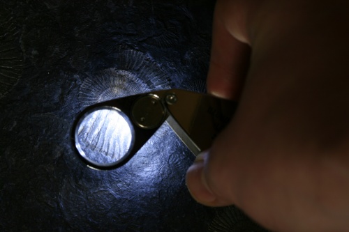 Illuminated magnifier 10x, with UV Light