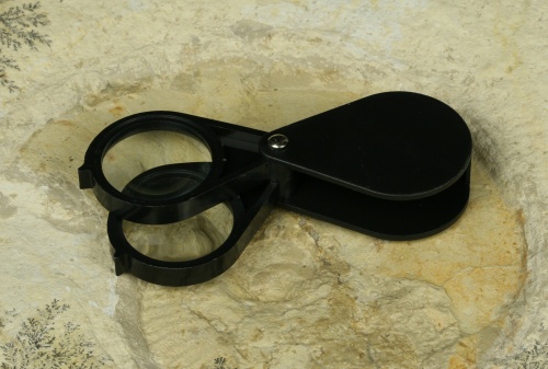 Dual Folding Magnifier 24x (12x and 12x)