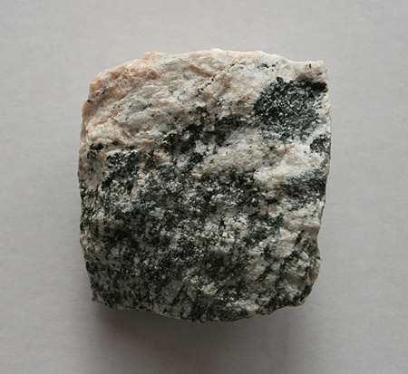 Gebänderter Orthogneis mit xenolith