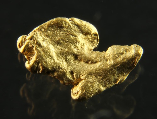 Gold nugget