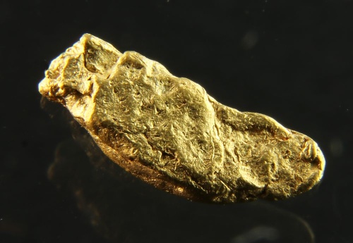 Gold nugget
