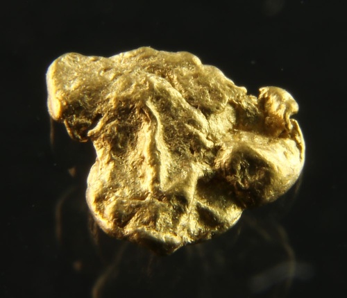 Gold nugget