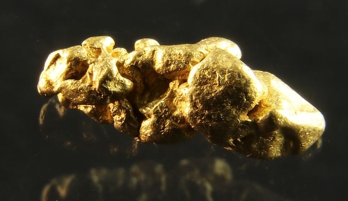 Gold nugget