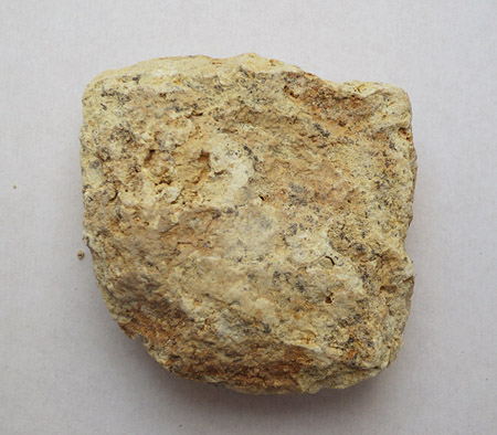 Calcareous Mudstone