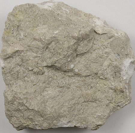 Korallenkalk