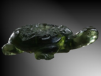 Moldavite, turtle