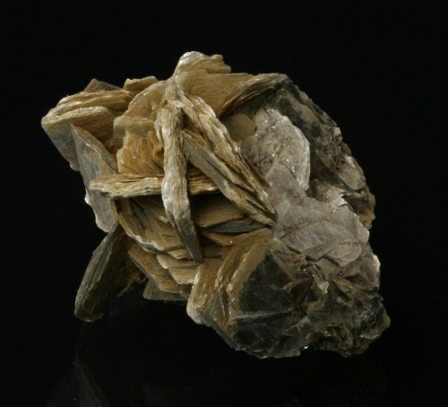 Muscovite