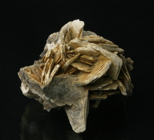 Muscovite