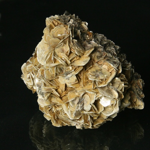 Muscovite