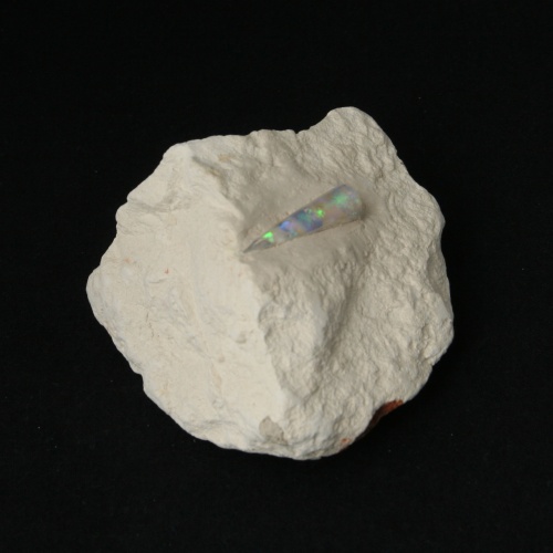 Opal Belemnit