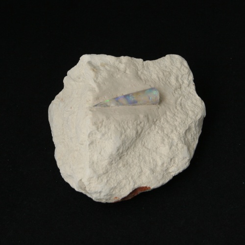 Opalized Belemnite