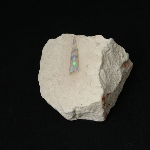 Opalized Belemnite