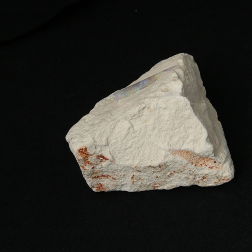 Opal Belemnit