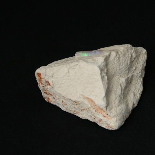 Opal Belemnit