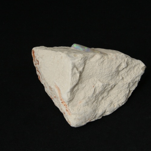 Opal Belemnit