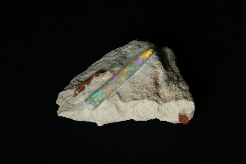 Opalized Belemnite