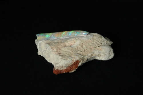 Opalized Belemnite