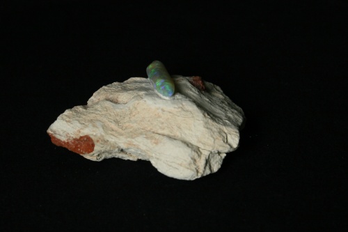 Opalized Belemnite