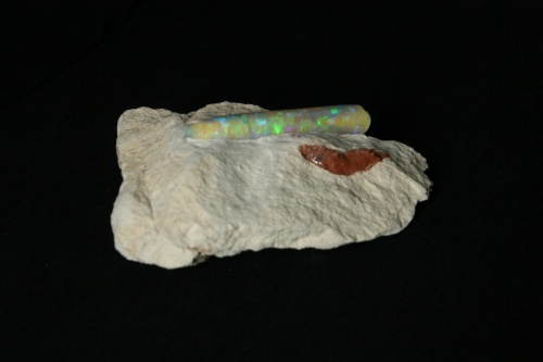 Opalized Belemnite