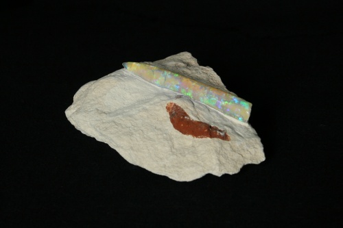 Opalized Belemnite