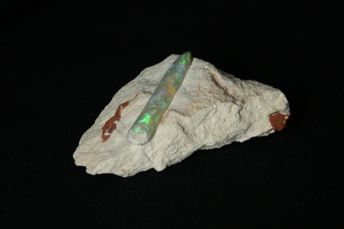 Opalized Belemnite