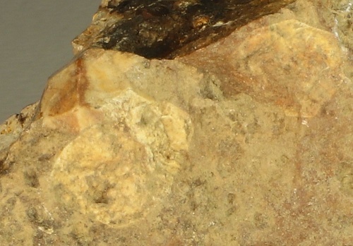Pseudoleucite (Nefeline, orthoclase of pseudomorfose to nepheline)