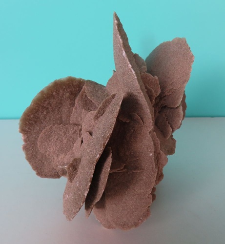 Sandrose (Gips) 1,6kg