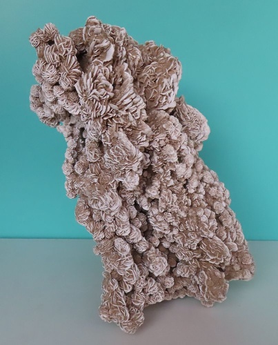 Sandrose (Gips) 12,1kg