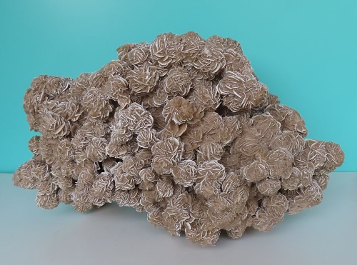 Sandrose (Gips) 18,1kg