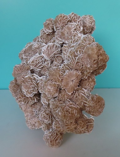 Sandrose (Gips) 9,5kg