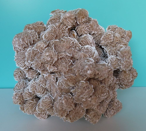 Sandrose (Gips) 9,5kg