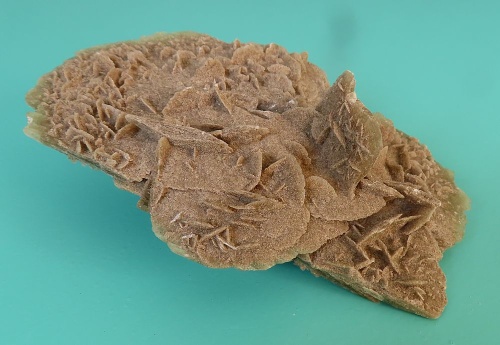 Sand Rose (Gypsum)