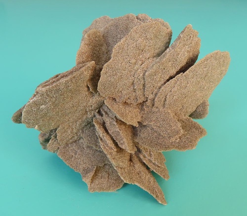 Sand Rose (Gypsum)