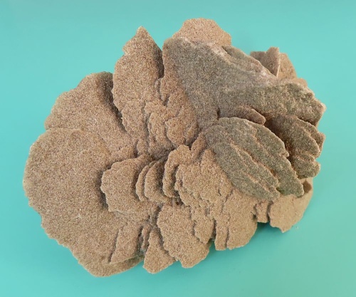 Sand Rose (Gypsum)