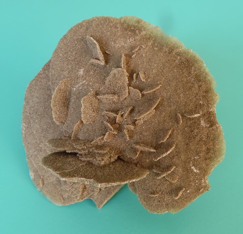 Sand Rose (Gypsum)