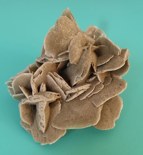 Sand Rose (Gypsum)