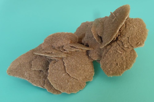 Sand Rose (Gypsum)