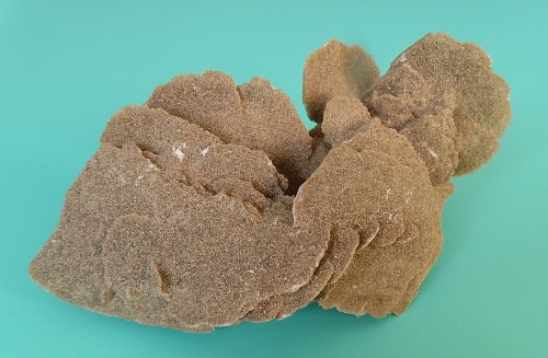 Sand Rose (Gypsum)