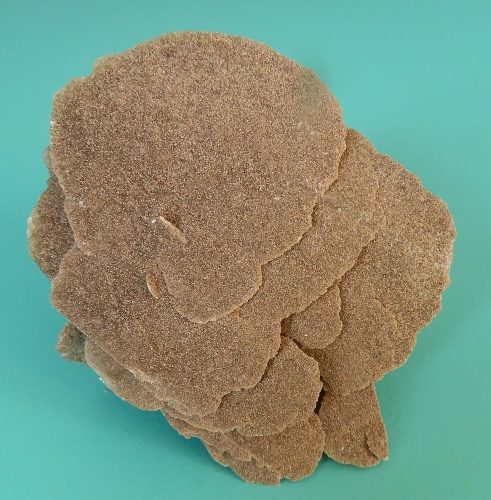 Sand Rose (Gypsum)