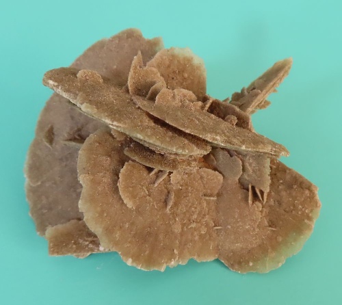 Sand Rose (Gypsum)