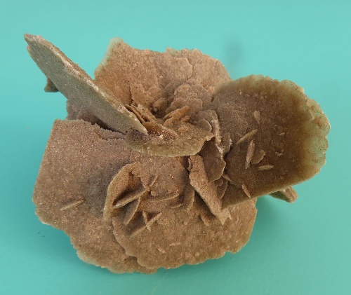 Sand Rose (Gypsum)